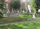 Krasnybor (10)